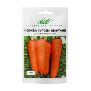 Морква Курода Шантане - Зображення 4