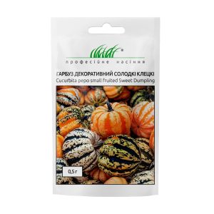 Гарбуз декоративний Солодкі Клецкі - Зображення 2