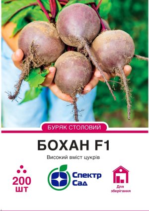 Столовий буряк Бохан F1, 200 шт