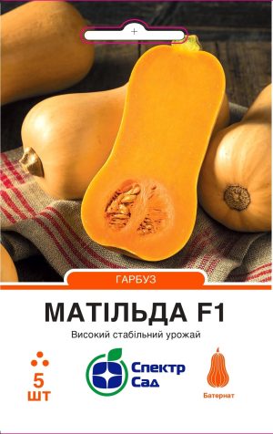Гарбуз Матільда F1, 5 шт