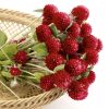 Гомфрена Полуничне поле (Фасовка: 0,1 г; Колір: червоний)