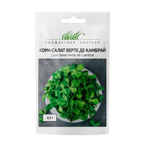 Корн-салат Верте де Камбрай - Зображення 2