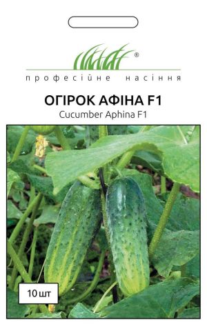 Огірок Афіна F1 - Зображення 6