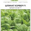Шпинат Корвер F1 - Зображення 2