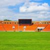 Газонна трава Спортивна - Зображення 7
