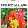 Жоржини Міньйон - Зображення 2