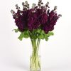 Матіола (левкой) Аіда (Фасовка: 1000 шт; Колір: purple) - Зображення 3