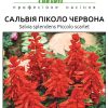Сальвія блискуча Піколо - Зображення 2