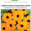 Тунбергия Сюзанна (Фасовка: 8 шт; Колір: помаранчевий з вічком) - Зображення 2