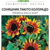 Соняшник Пакіто Колорадо - Зображення 2
