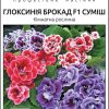 Глоксинія Брокад F1 - Зображення 2