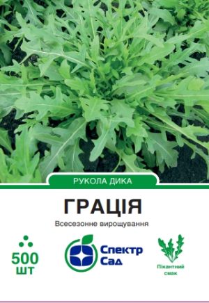 Рукола Грація, 500 шт